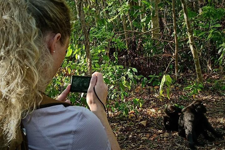 Tangkoko Overnight (2D1N) IeJ1xaav