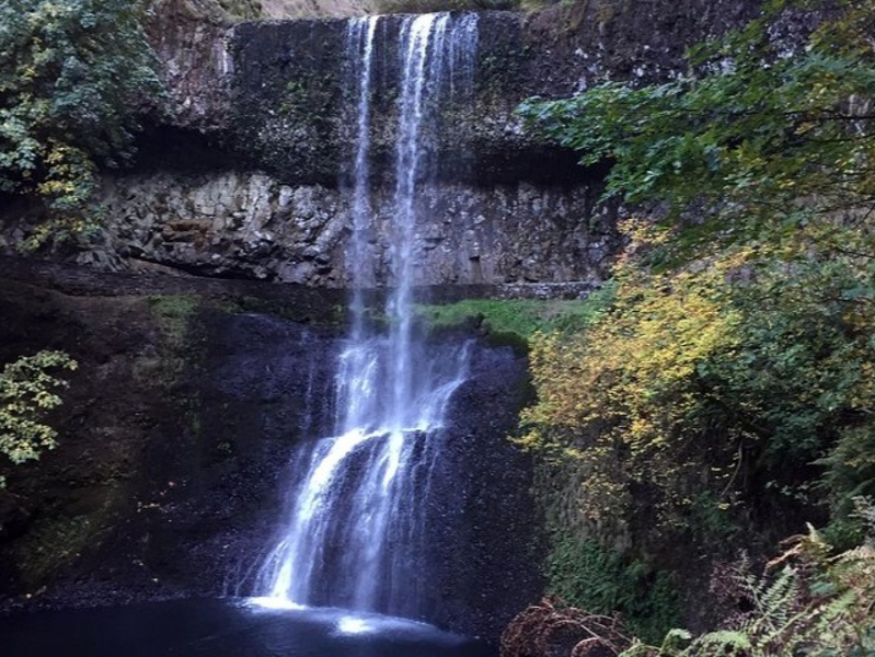 Scenic Silver Falls Hiking Tour in Portland 11i1o2Ii