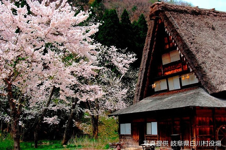 Shirakawago and Takayama Bus Tour from Nagoya bgFjGX3A