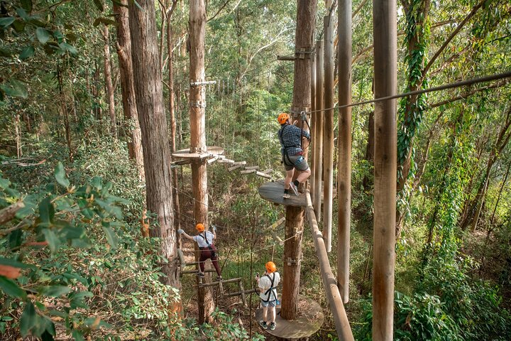 Explore Ourimbah State Forest Tree Ropes Course eQdEwKAi