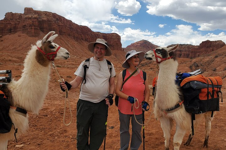 1-Hour Llama Hike Family Friendly and Fun vQhOrMDa