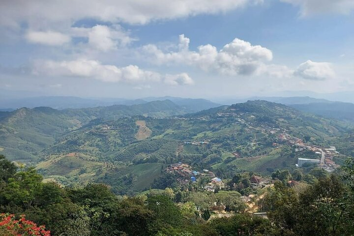Chiang Rai Mountain Adventure: Doi Mae Salong & Doi Tung A5pkeZaX