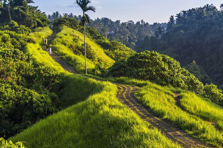 Ubud Story Walking Tour by Spanish, Japanese, English Guide eRM0eQt4