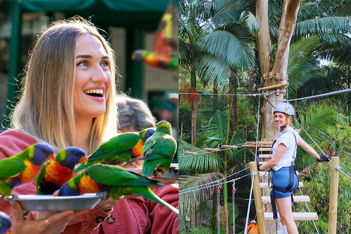 Currumbin Wildlife Sanctuary Pass + The Treetop Challenge  UDNjOHk2
