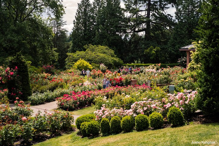 Portland's Top Sights Half Day City Tour sAxwmspS