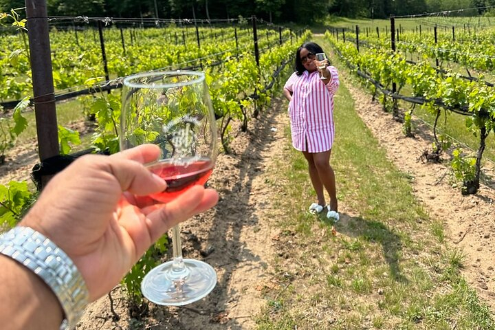NON BUS Traverse City Wine Old Mission Peninsula Wine Tour VikqIw96