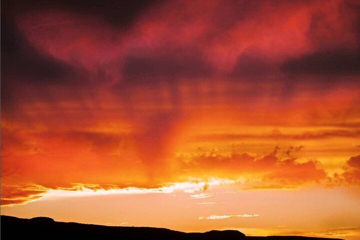 Premier Birding/Wildlife Tours in Saguaro National Park 6zk2Nel9