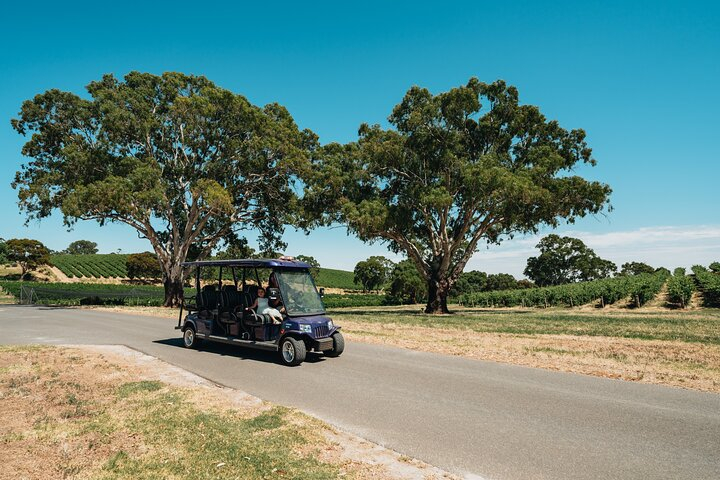 EcoVine Explorer Vineyard E-Cart Tours YWE71ZDC