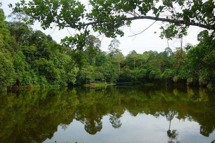 Discover Sandakan RDC with Shared Transportation and Guide m30siZlk