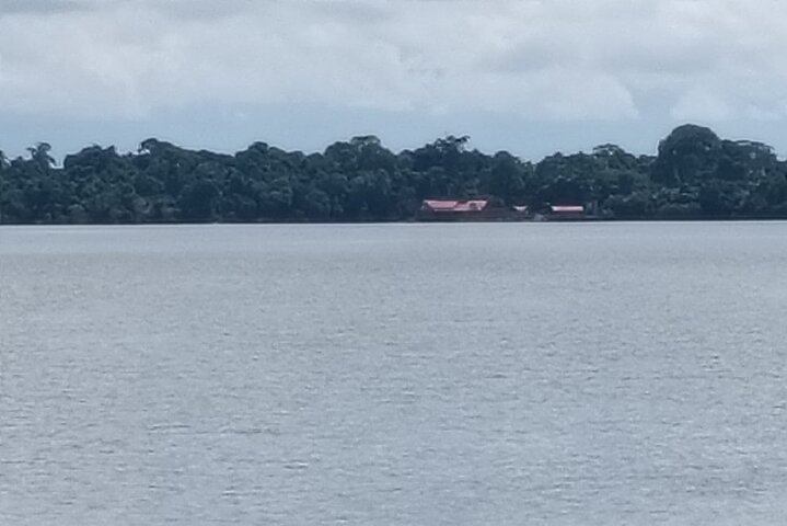 Orangutan Island, A Responsible Wildlife Sanctuary Experience EQ1Pb8Hc