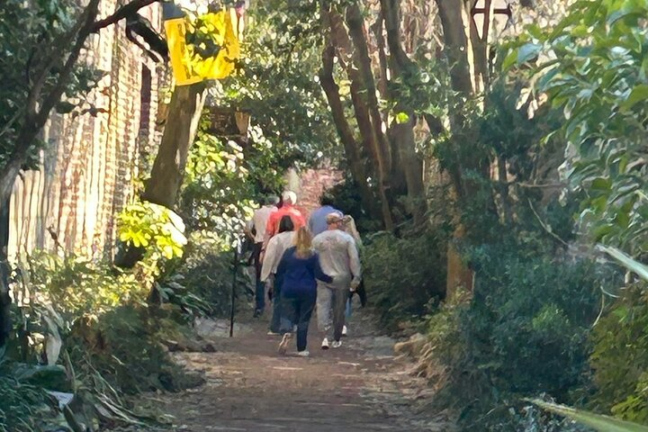 Charm of Charleston - Walk Through Time with a Charleston Native Ozuj8SBB