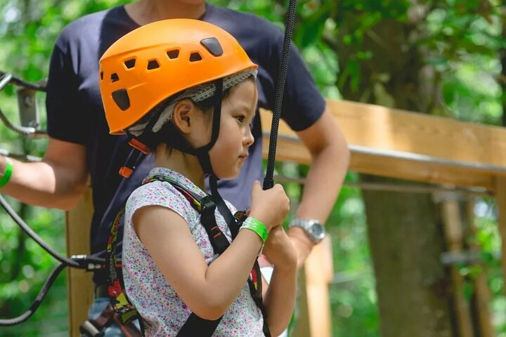 Treetop adventure course in Jablines YbsTPOyP