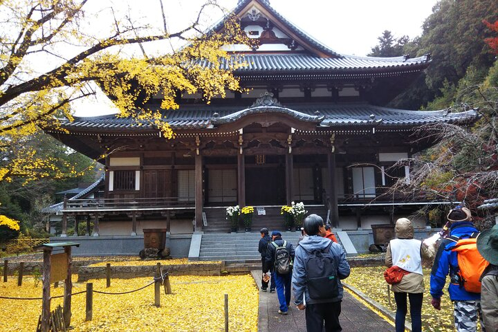Private Sake Brewery Tour and Shinran Temple Visit 5kkoDB6g