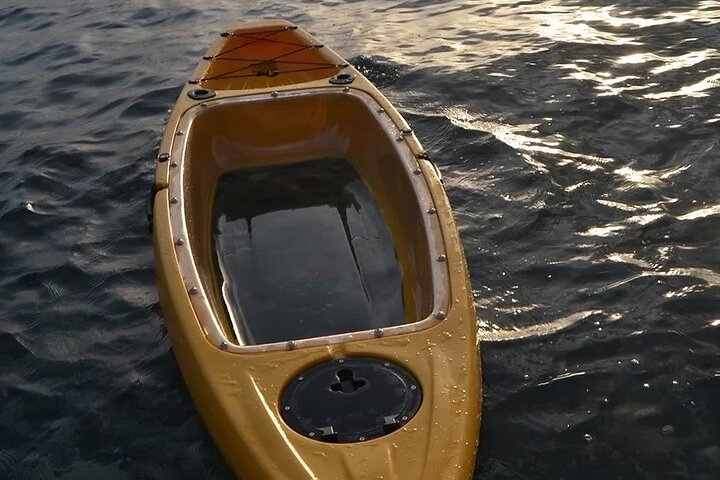 Clear Bottom Kayak Rental for Kings Bay Three Sisters Springs FEMp8WMg