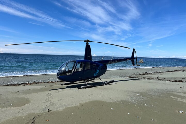 Bear Glacier Helicopter Tour with Landing cglniuyO