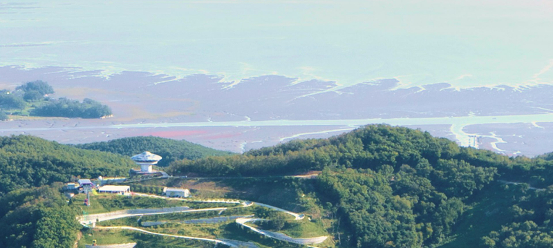 Incheon Day Tour: Luge, Railbike & Ferry with Seagull Feeding 8JJT1CWf