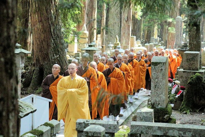 Mt. Koya Sacred 6hr Private Tour with Government Licensed Guide nkOy9TMg
