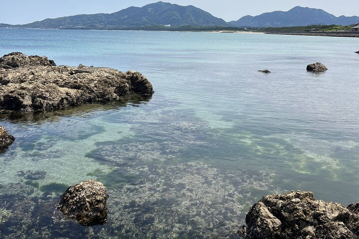 Private Coastline Ebike Tour in Fukuoka AVZoxGos