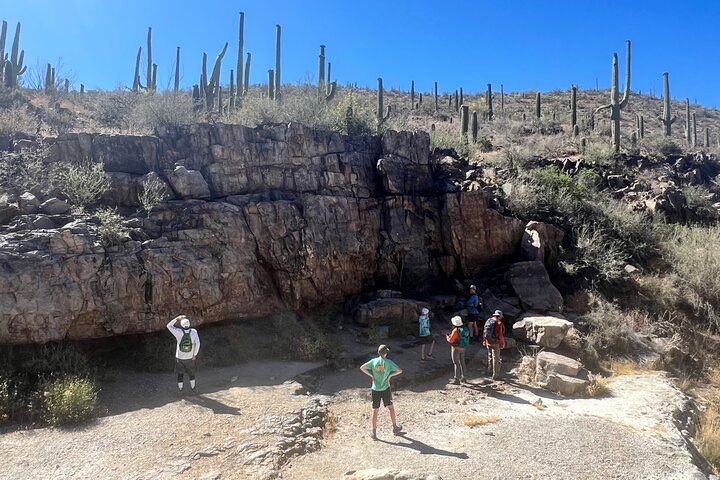 Guided Hike in the Sonoran Desert ht1e5ied