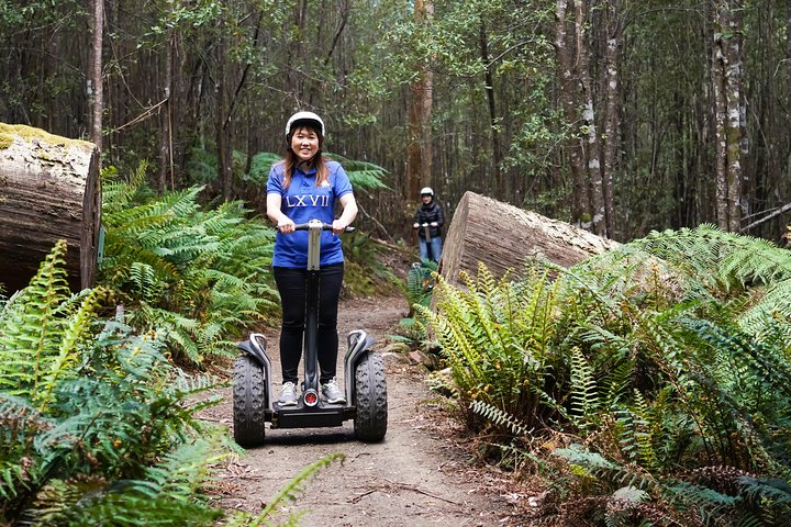 Launceston: Hollybank Treetops Adventures - Segway Tour fy3RZDl6
