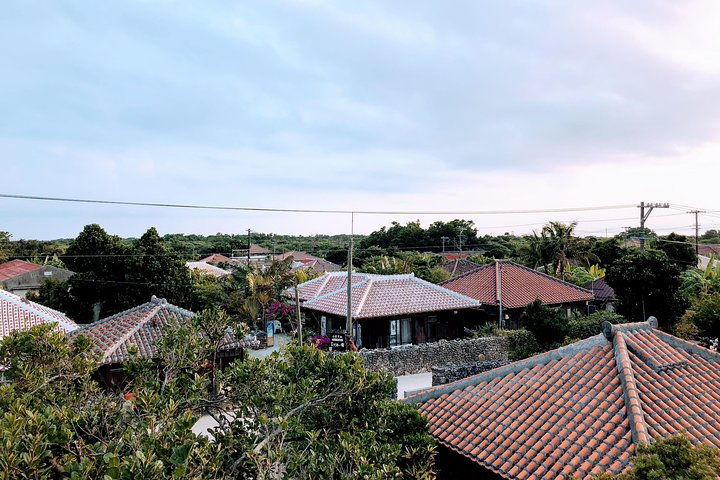 Taketomi Island Walk Tour with an Island Guide e8T5W2Dw