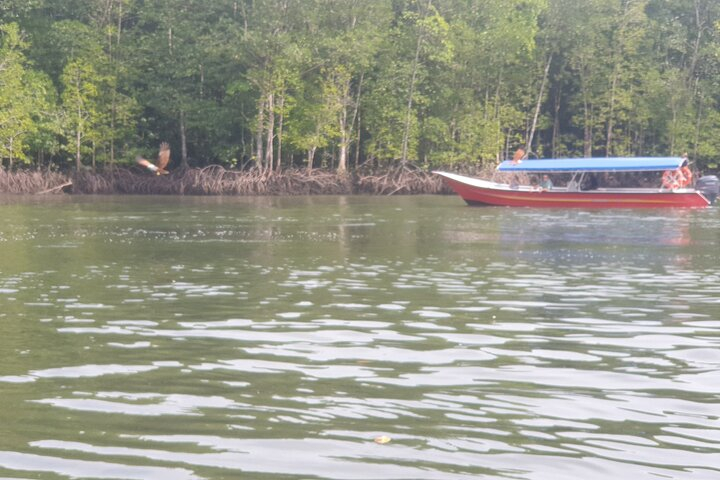 Private Mangrove Tour, Beach & Refreshing Waterfall va9VfyLs