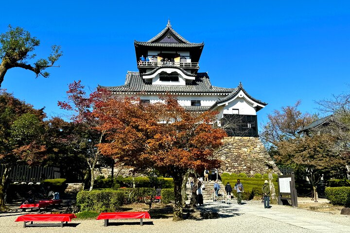 Nagoya: National Treasure Inuyama Castle & Tea Room Private Tour  zrdDJfYq