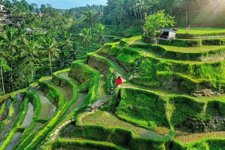Best of Bali: Ubud All-inclusive Instagram highlights Tour e6qUlAy1