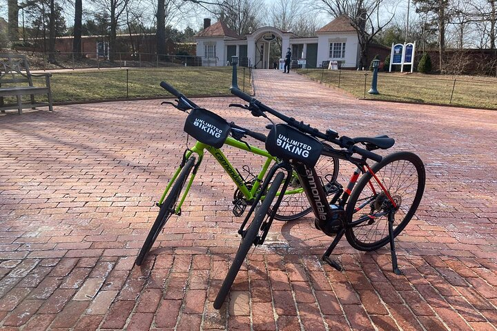 Alexandria E-Bike Rentals lwQJoqZq