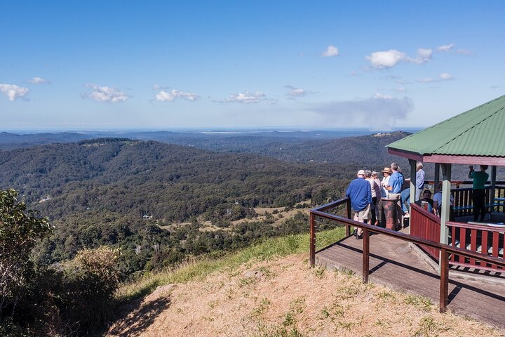 Scenic Hinterland Guided Day Tour Inc Lunch, Tastings From Noosa RqQWQXwr