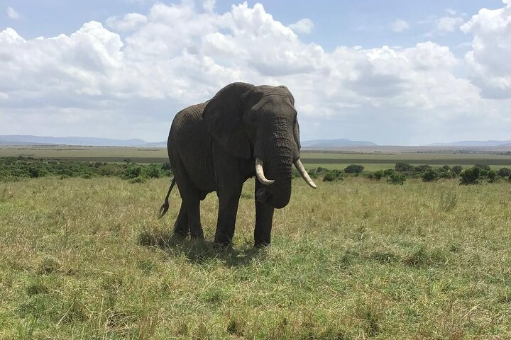 Day Tour to Amboseli National Park spO9vTYL