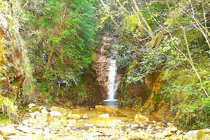  Private Historic Road Hike in the Healing Forest of Arima YyofkUpk