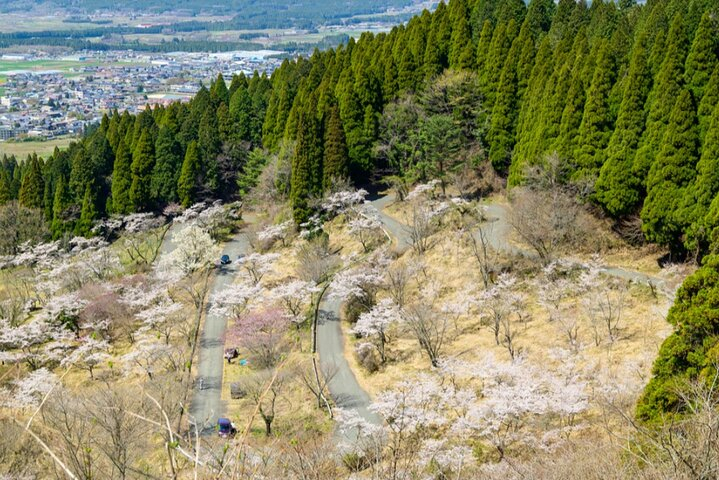 Day Tour to Miyazaki Takachiho Gorge & Shrine depart from Fukuoka nDQnZ5c8