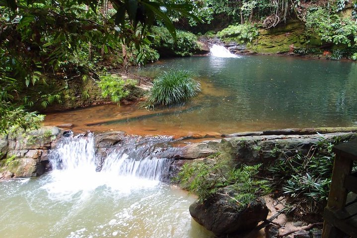 Nature Excursion in Borneo Tropical Rainforest Resort ElGT3E9C