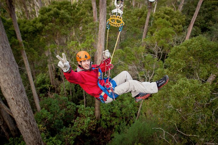 Launceston: Hollybank Treetops Adventure - Zipline Tours iwzjkZ5o