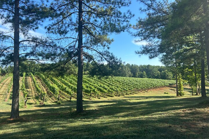 Three Vineyards Half Day Private Wine Tour From Asheville 6AeZkvpg