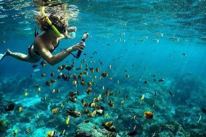 Tiket Lembongan Snorkeling at Manta Bay, Toya Pakeh Wall and Mangrove Harga  Promo - tiket.com