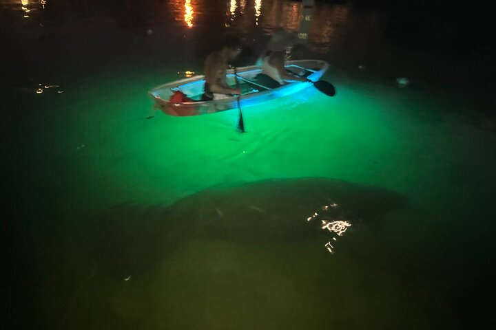 Clear Kayak Three Sisters Springs Sunset and Glow Tour kSjc4gRc