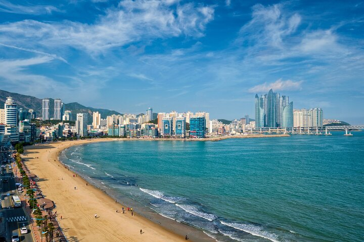  Busan Cherry Blossom and Top Attractions City Tour QRViMtQT