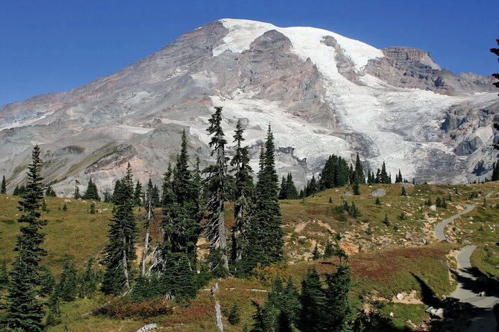 Mt. Rainier tour with Gandola ride at Sunrise and Paradise JZQSXIBg