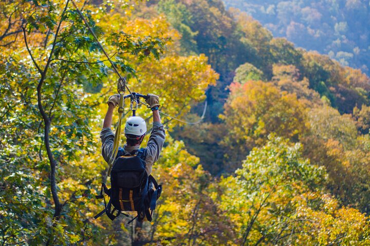 Epic Zipline Canopy Tour - The Gorge Zipline: Saluda, NC ux1s3YCP