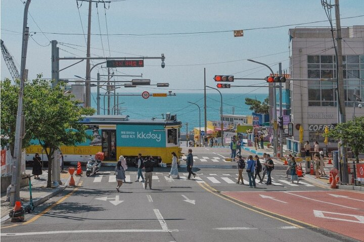 Authentic Busan Full-Day City Highlights Tour Cdk15wKF