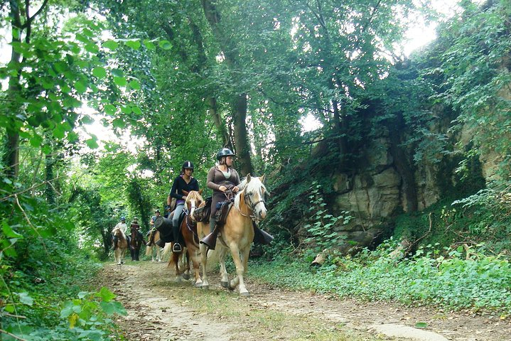 Horse riding in the French countryside between Paris and Lille WJWG1wqo