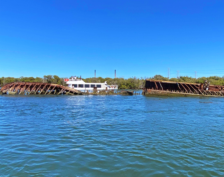 Port River Dolphin & Ships Graveyard Cruise from Port Adelaide NgL8VR0H