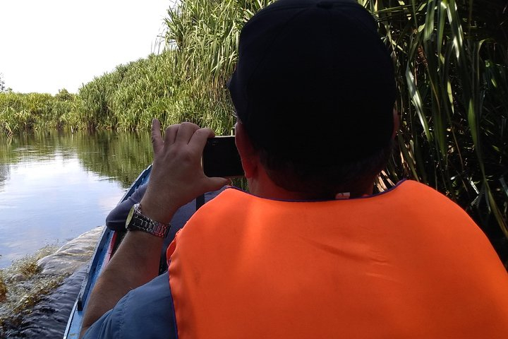 Half day Koran river tour - Sabangau national park bMb9I1Rr