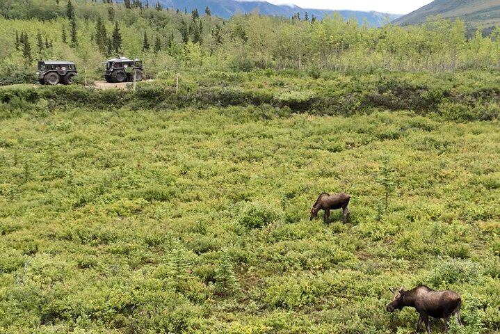 Full Day: Fairbanks to Denali Winter Adventure & SHERP Tour IeoUPfLq