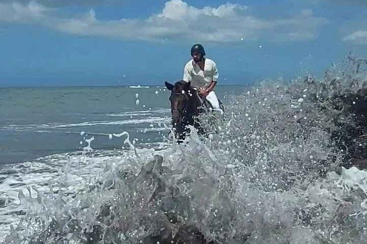 Get Ticket Saba Beach Bali Horse Ride Promo Prices - tiket.com