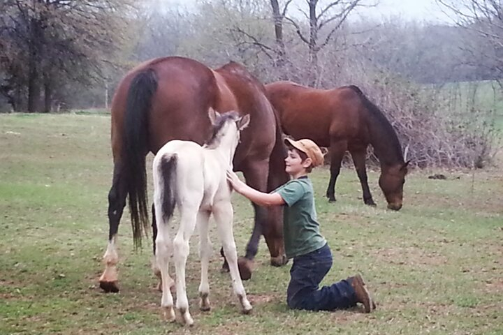 Farm Adventure Experience in Red Hill Ranch k0MgfIbV