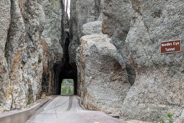 Discover Custer State Park A Self Guided Audio Driving Tour MtF4ZBbm