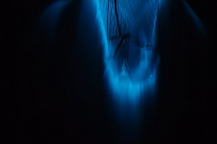 Private Sunset and Bioluminescence Tours in Cocoa Beach KAMuRbeI